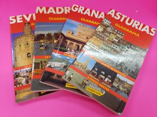4 libros guia Anaya