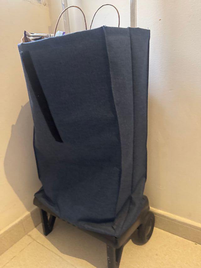 Carrito de compra azul y negro