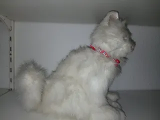 Gato fur real  hastro