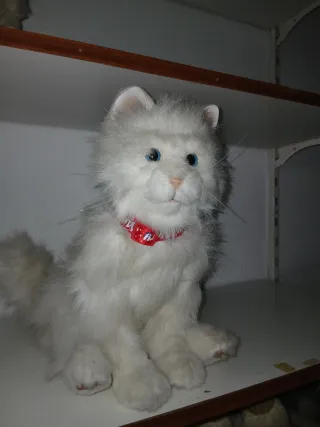 Gato fur real  hastro