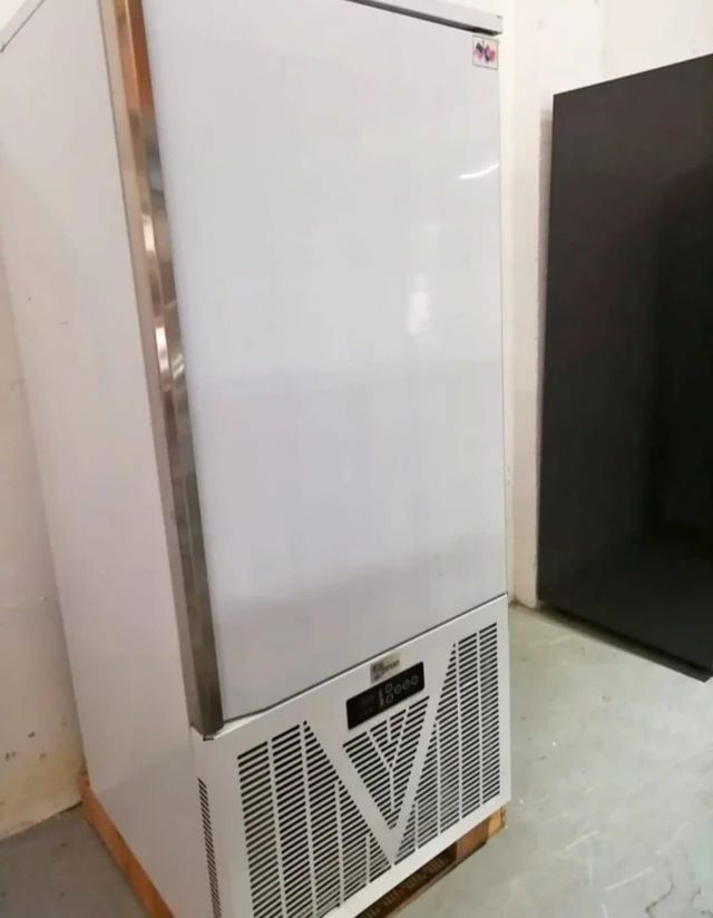 Congelador vertical industrial blanco