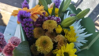 Acompañamiento persona mayor.