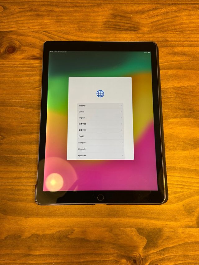 iPad Pro 12,9 Gris Plateado