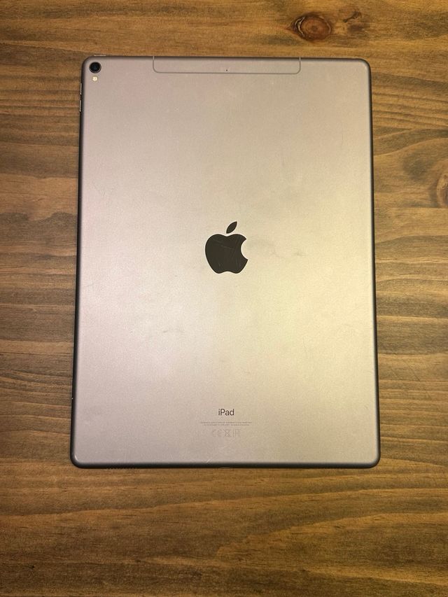 iPad Pro 12,9 Gris Plateado