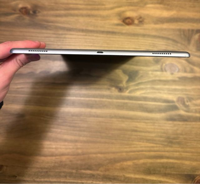 iPad Pro 12,9 Gris Plateado