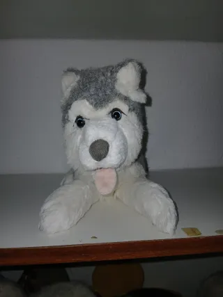 Peluche perro lobo husky