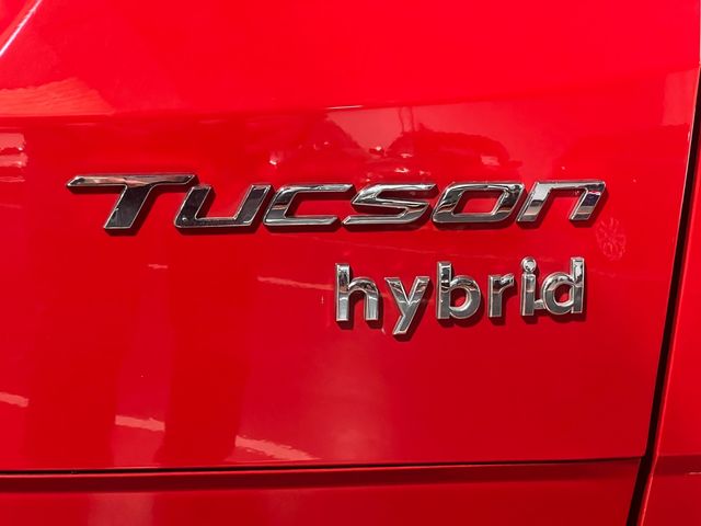 Hyundai Tucson 1.6 TGDI 110kW (150CV) 48V Maxx Safe