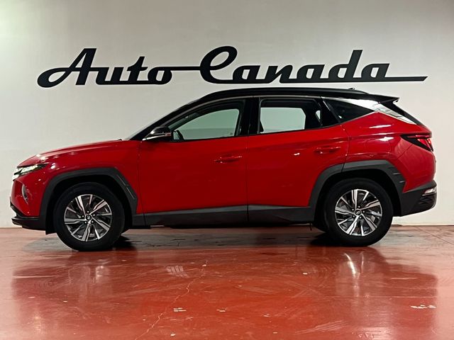 Hyundai Tucson 1.6 TGDI 110kW (150CV) 48V Maxx Safe