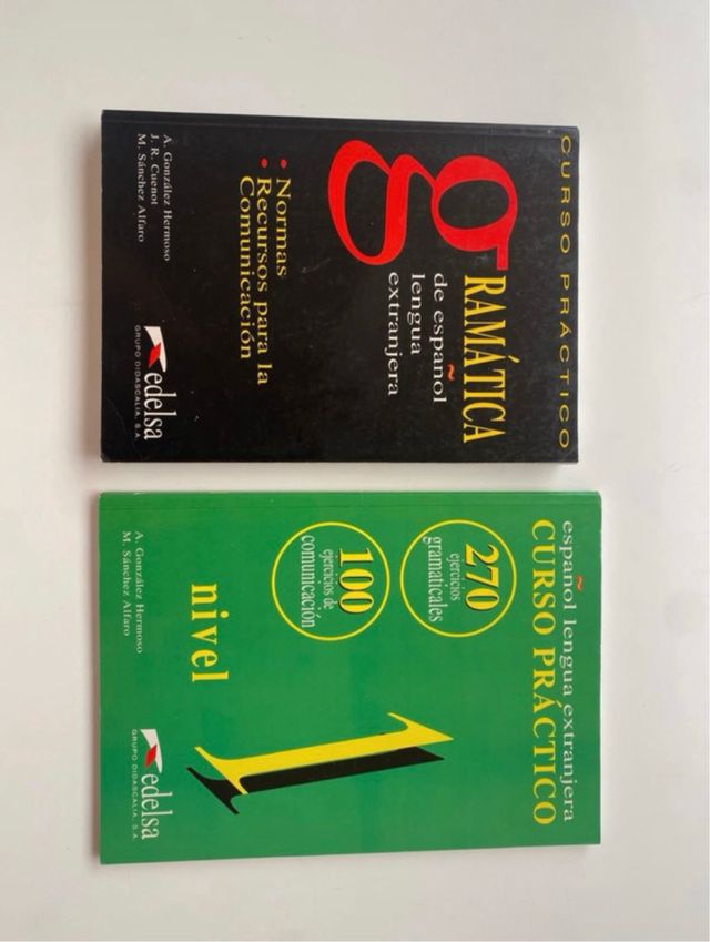 Curso práctico de gramática (Spanish Edition)