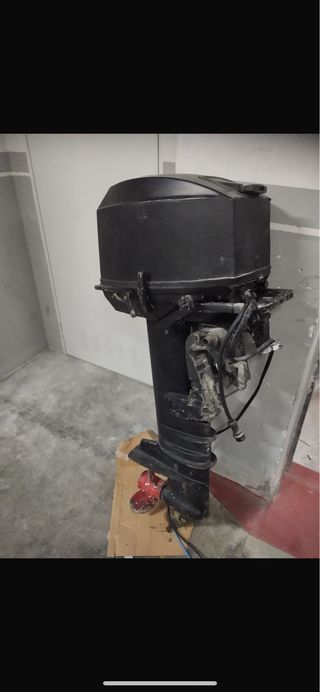 Motor fueraborda mariner