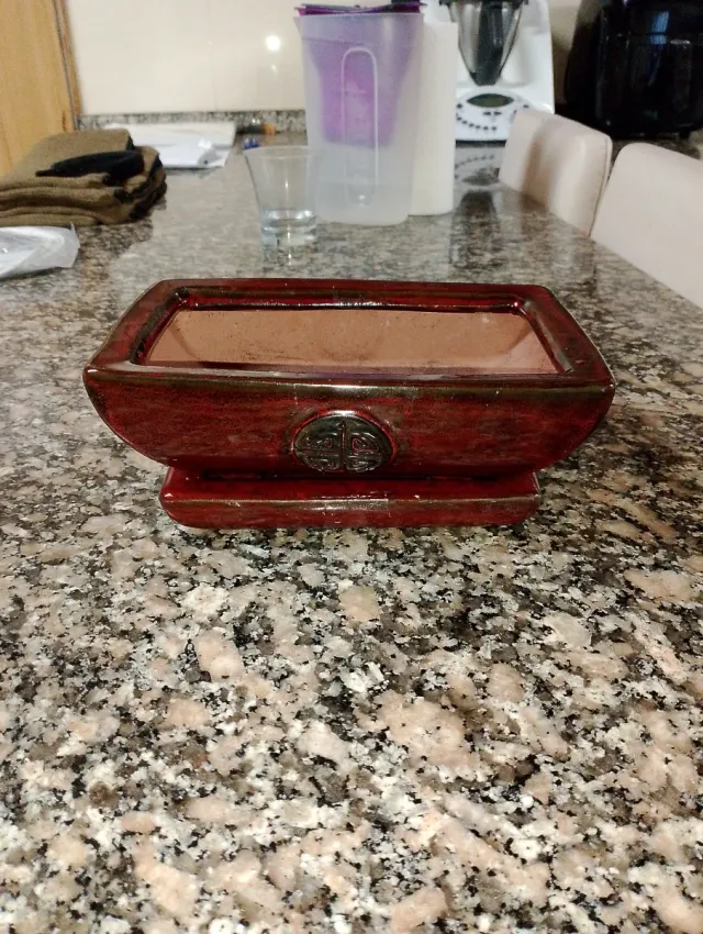 Maceta de cerámica para bonsai