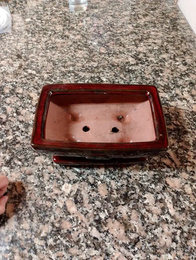 Maceta de cerámica para bonsai