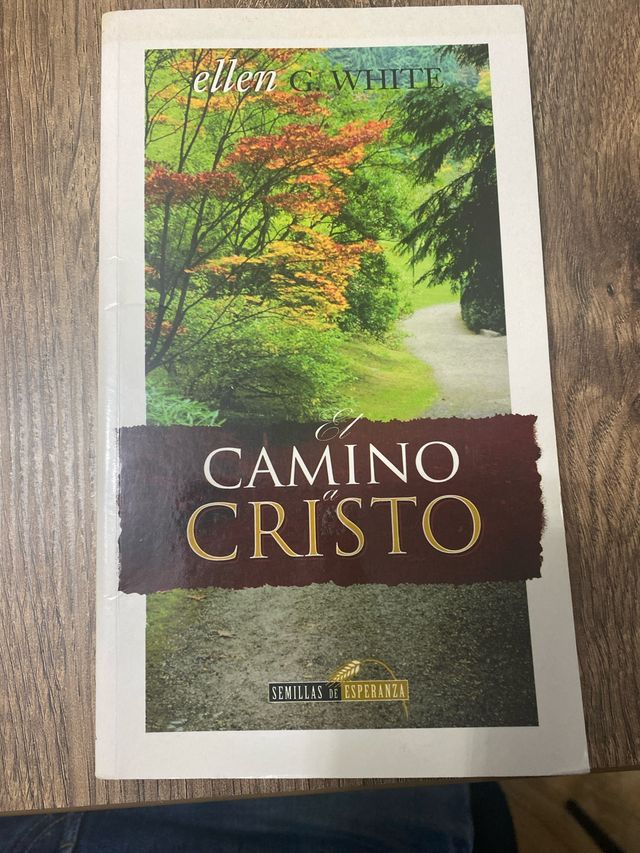 El camino a Cristo