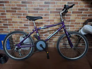 Bicicleta Morada California BH