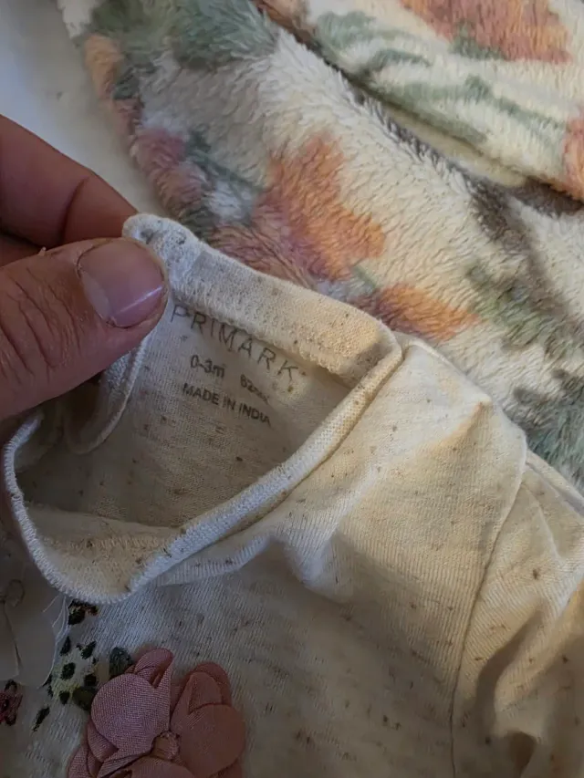 Lote 4 camisetas bebé manga larga