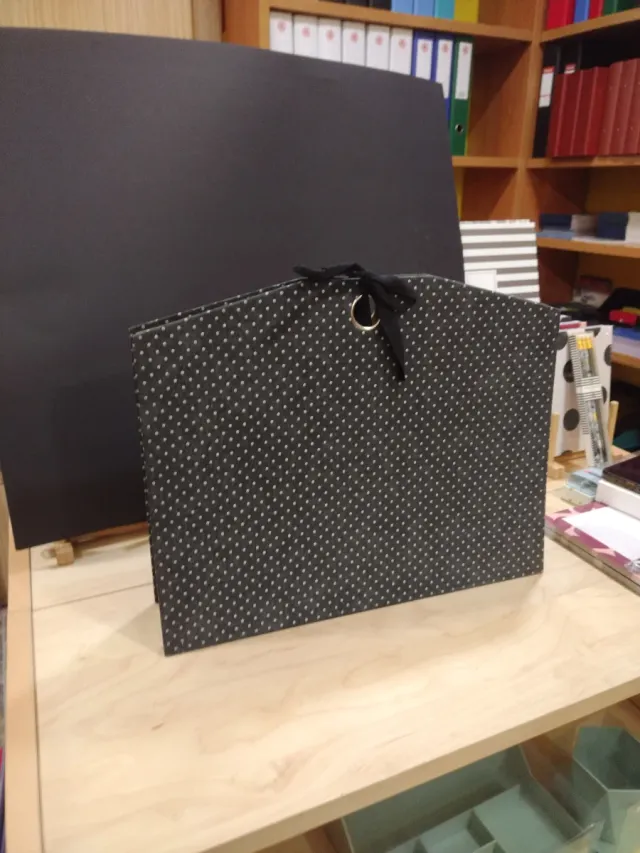 Carpeta acordeón 12 departamentos