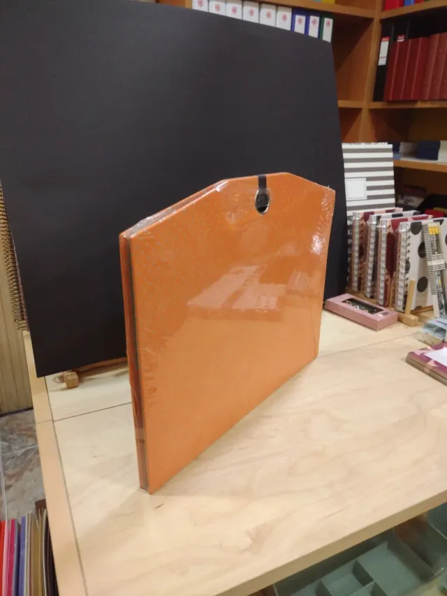 Carpeta acordeón 12 departamentos