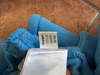 Felpa Adidas Azzurra con Cappuccio