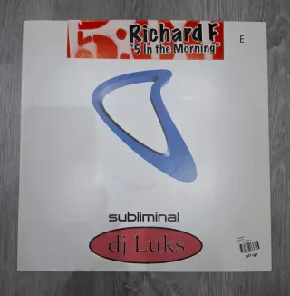 Lote Discos vinilo House