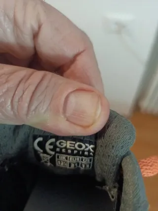 Scarpe Geox bimbo n. 31