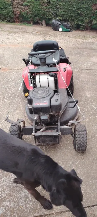 Cortacésped 11.5 HP Formula