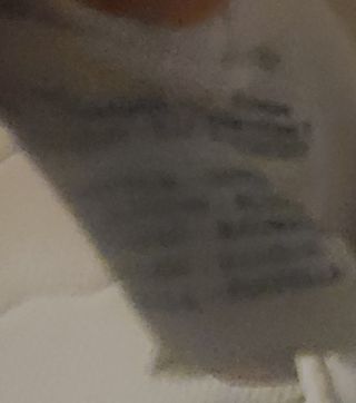 T-shirt Champion Rochester N.Y. State L