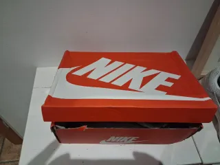 Zapatillas Nike Blancas y Plateadas