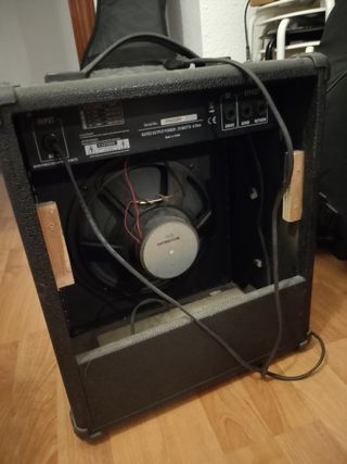 Amplificador Leem 35W con Reverb