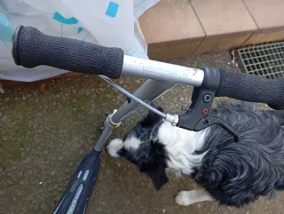 Patinete Cool Carver