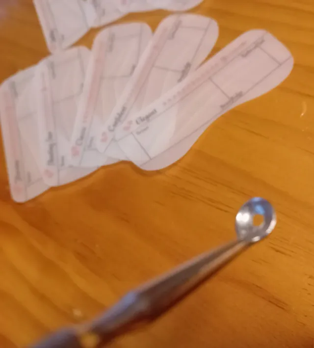 Set Cuidado Facial: Rodillo Jade y Brocha