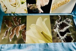 Pareja de Cuadros Tapiz Floral