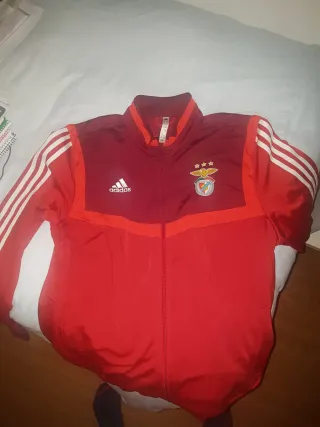 Chándal Benfica Oficial Adidas Talla XL