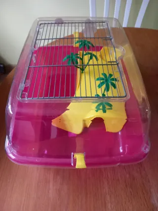 Terrario para tortugas con accesorios