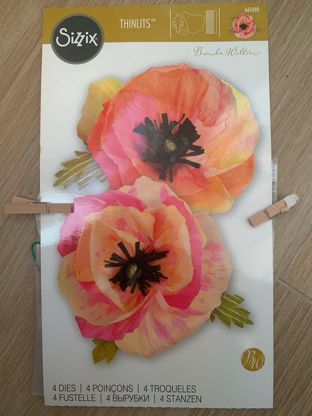 Fustella Sizzix Thinlits Brenda Walton