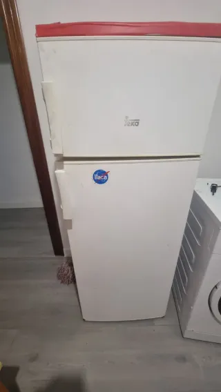 Nevera y lavadora Teka