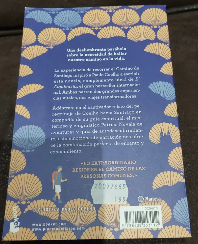 El Peregrino de Compostela: (Diario de un mago)