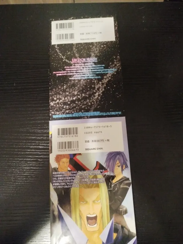 Lote de 2 Novelas Kingdom Hearts Japonês