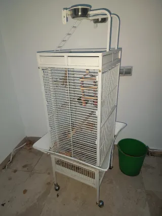 Jaula para pájaros blanca