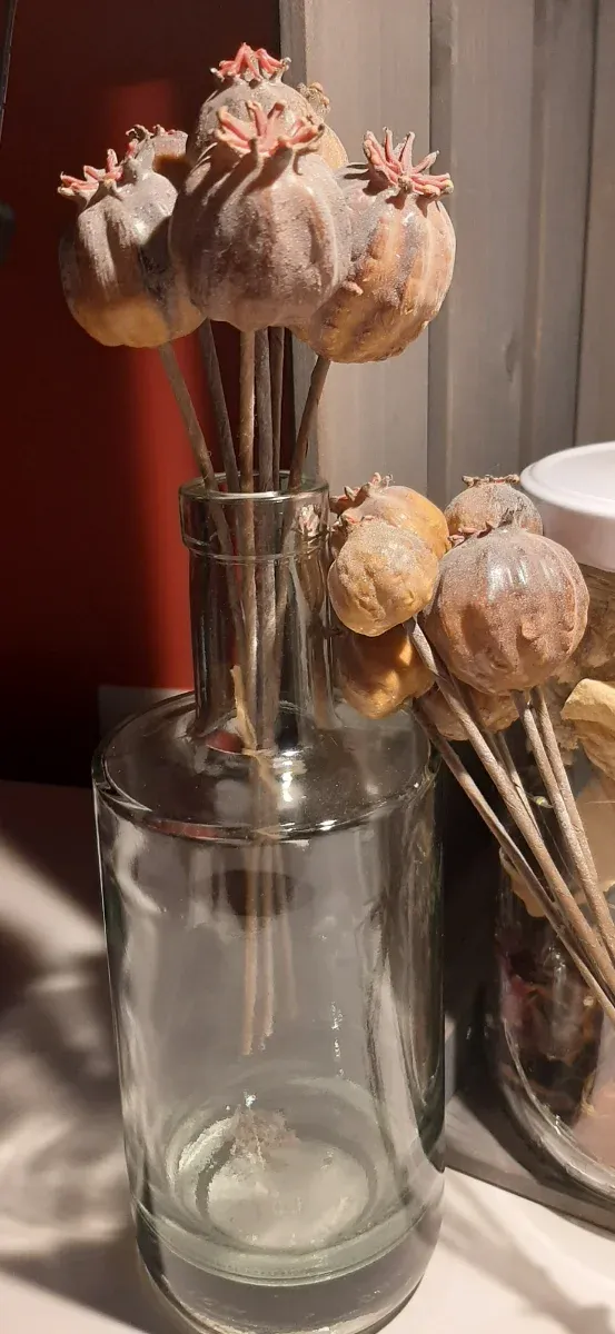 FLORES SECAS DE PLÁSTICO