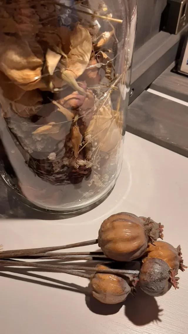 FLORES SECAS DE PLÁSTICO