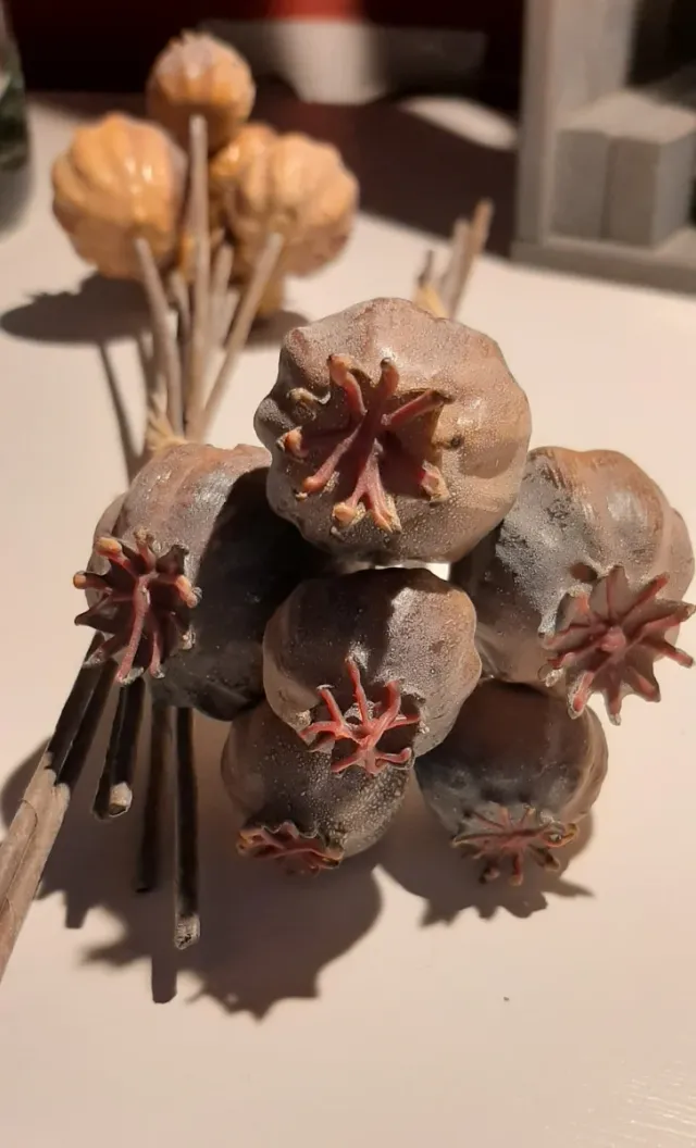 FLORES SECAS DE PLÁSTICO