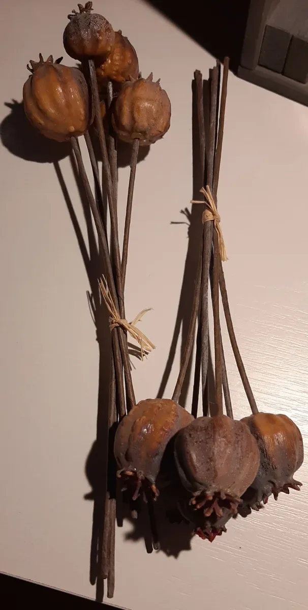 FLORES SECAS DE PLÁSTICO