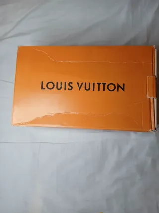 Zapatillas Louis Vuitton LV Skate Nuevas
