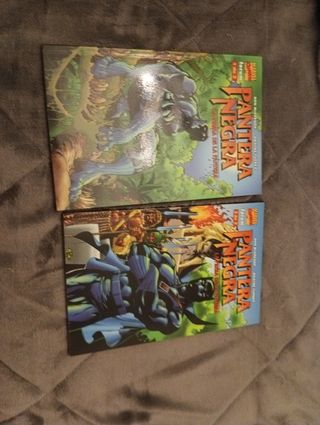 Pantera Negra: la presa de la pantera, coleccion