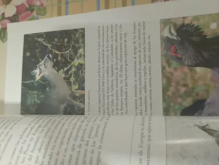 Guia de parque Nacional de picos de europa