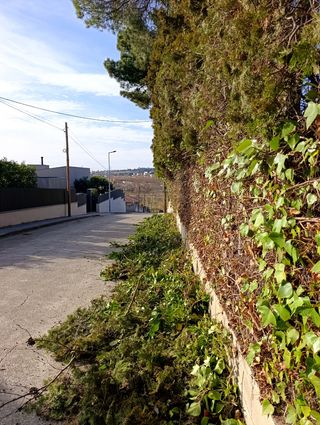 Busco jardinero autónomo