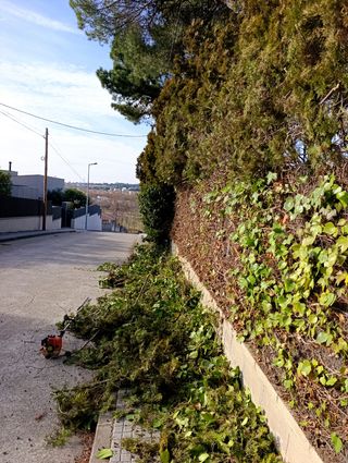 Busco jardinero autónomo