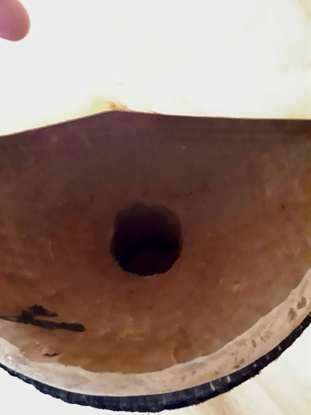 Djembe Africano de Costa de Marfil
