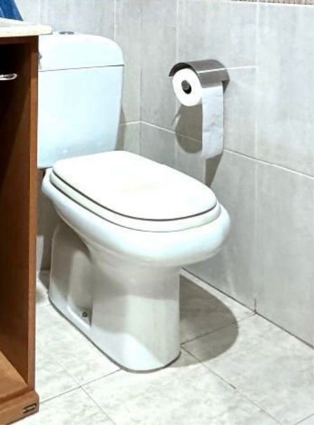 Inodoro y bidé de porcelana