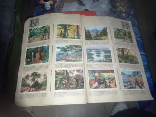 Historia Natural Álbum 508 cromos Completo 1997